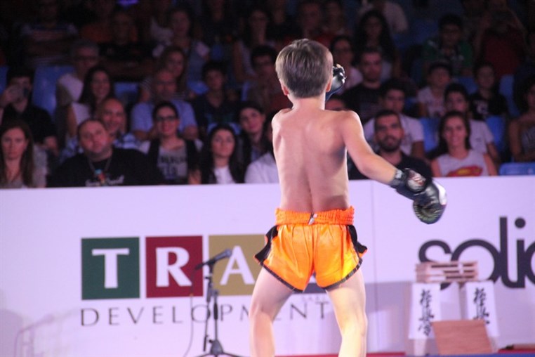 Martial Arts Festival